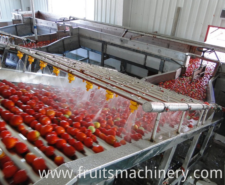 Automatic cranberry processing line